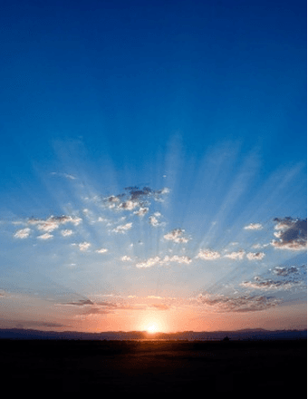 Patricia L. (Morse) DiFazio Obituary