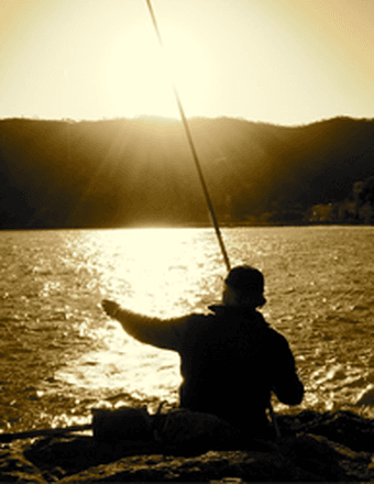 David F. Pierce Obituary